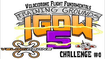 VELOCIDRONE Flight Fundamentals - Training Grounds Challenge #0 #igow5