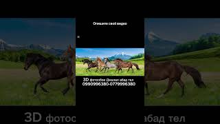 Джалал абад 3Dфотообои тел 0990996380-0779996380
