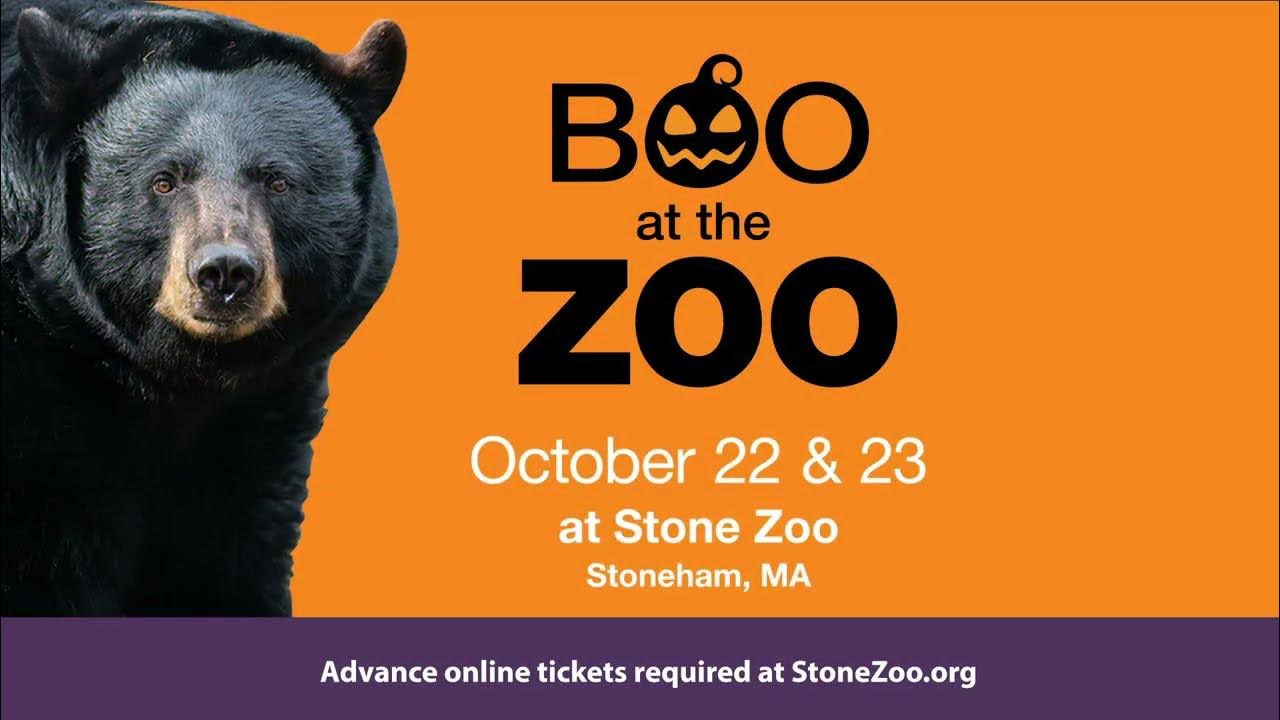 Boo at the Zoo at Stone Zoo Thrills, chills and animals await! YouTube