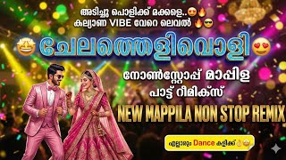 Mappila Nonstop Song Remix | ചേലത്തെളിവൊളി | Chelathelivoli Mani maala | #DJ #mappilappattu #mappila