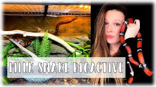 Milk Snake Bioactive Setup // Custom Reptile Habitats Background Kit