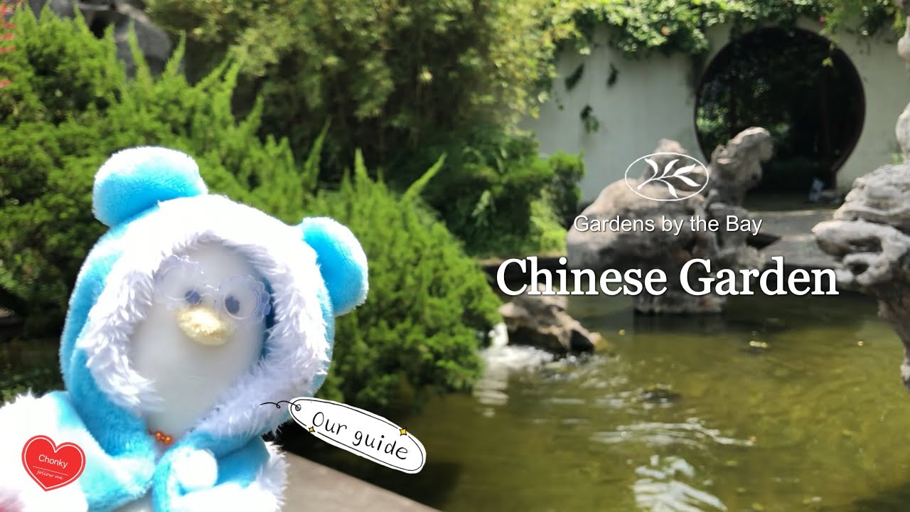 Chinese Garden Gardens by the Bay ft. Chonky 🏮 YouTube