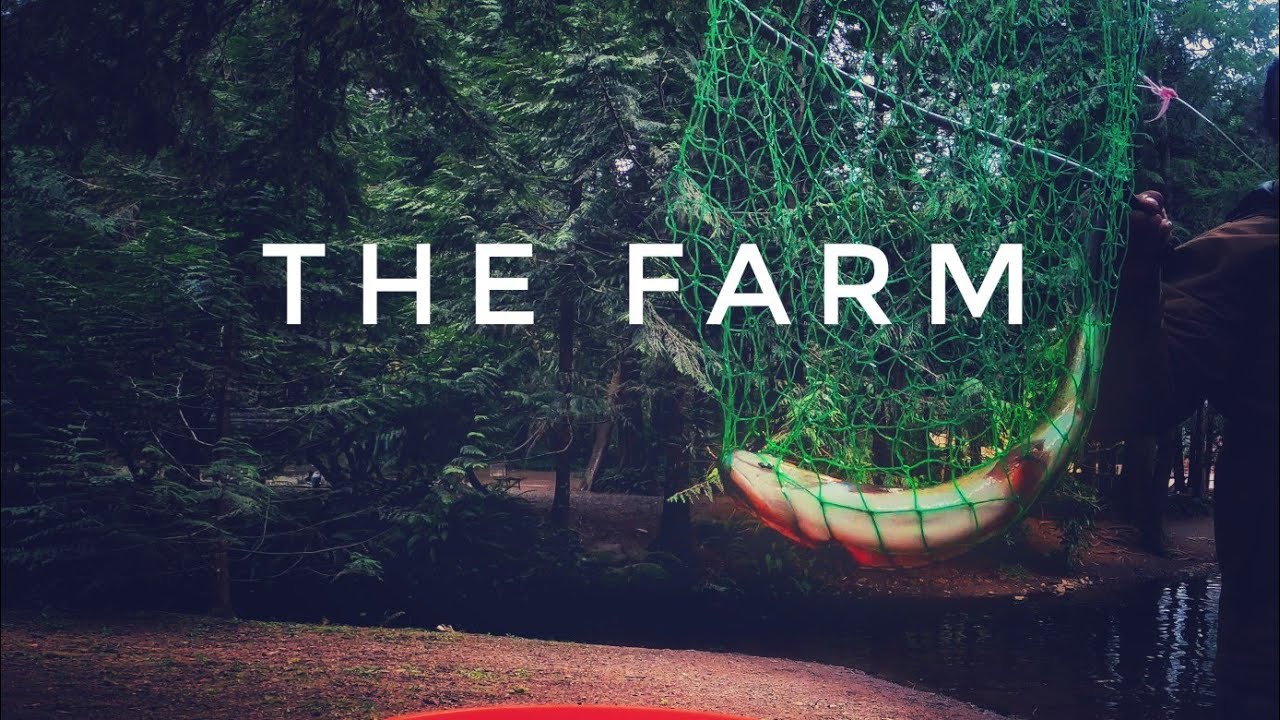 The Farm Fly Fishing 40 Year Old Rainbow Trout Farm. Oregon Fishing