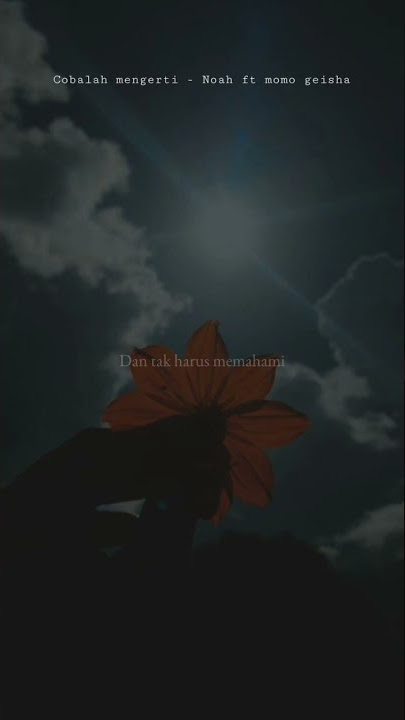 status wa cobalah mengerti - Noah ft momo geisha#shorts