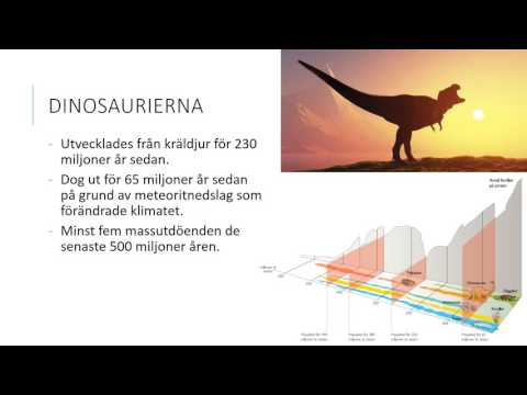 Video: Utveckling, Funktionell Organisation Och Utveckling Av Axiella Motorcircuits För Ryggradsdjur