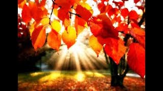Domenica d'autunno di Mauro Mazza - Letta da Mauro Mazza
