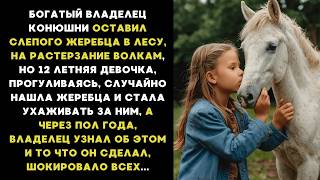 видео: 12 ЛЕТНЯЯ девочка нашла СЛЕПОГО ЖЕРЕБЦА, которого выбросил ВЛАДЕЛЕЦ КОНЮШНИ а когда он узнал об этом картинка: 12 ЛЕТНЯЯ девочка нашла СЛЕПОГО ЖЕРЕБЦА, которого выбросил ВЛАДЕЛЕЦ КОНЮШНИ а когда он узнал об этом