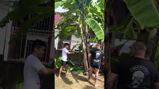 Kicking Down A Banana Tree in Thailand (Buakaw was a huge inspiration to do this one in 🇹🇭)