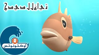 15 أوكتونوتس | سمك الزناد | السلسلة 2 | الحلقة