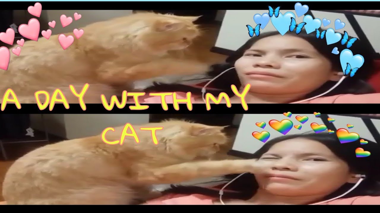 A DAY WITH MY CAT 😺