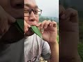 apa inii? #funny #memes #lucu #videolucuterbaru #shorts