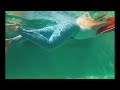 CHALLENGE: Dry VS wet in the pool #challenge #dry #wet #poolday #pool #vlog #video #funny #funnygirl