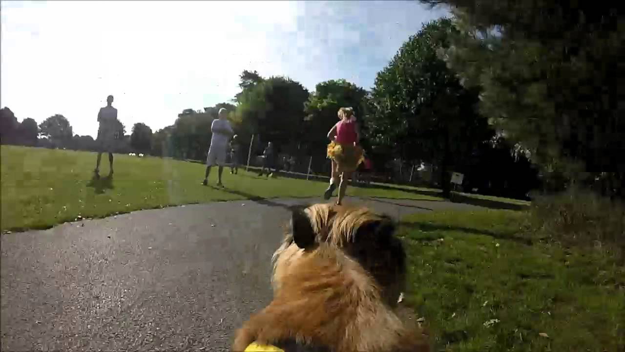 Bournemouth Parkrun, A different perspective