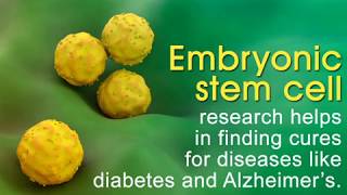 Alternative Stem Cell Harvesting Methods - Engl 1B Research Project Rough Draft