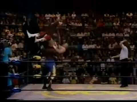 Harlem Heat - Powerbomb & Diving Elbow Drop