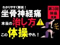 坐骨神経痛の治し方体操編