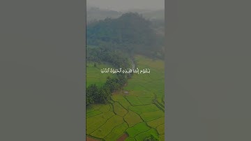 "تلاوة نادرة بصوت خاشع مع خلفية طبيعية هادئة 🍃🎧 لا تفوّت الاستماع. #قرآن_كريم #Quran"