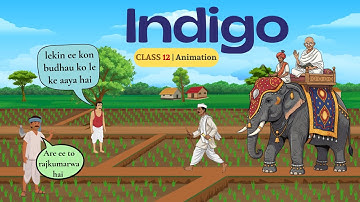Indigo class 12 in english | Class 12 English Chapter 5 Indigo Full Explanation in Animation