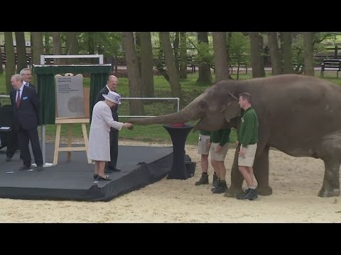 Queen and Duke of Edinburgh feed elephants bananas