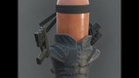 Flaccid Steak | H3VR