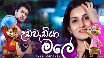 Udawadiya Male - Lavan Abhishek | Alvin Version | Alvin Studio LK