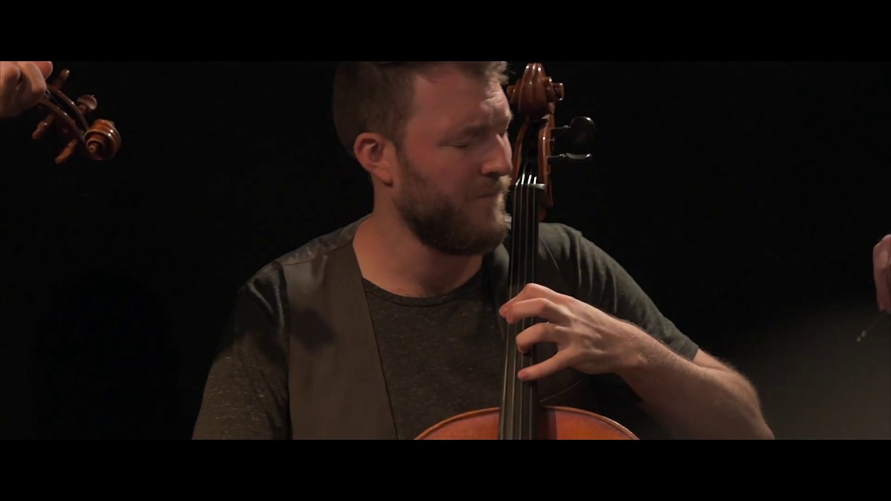 The Fretless - LIVE From the Art Farm - Holton Alan Moore's