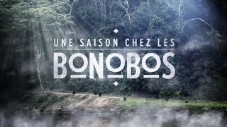 BANDE ANNONCE UNE SAISON CHEZ LES BONOBOS