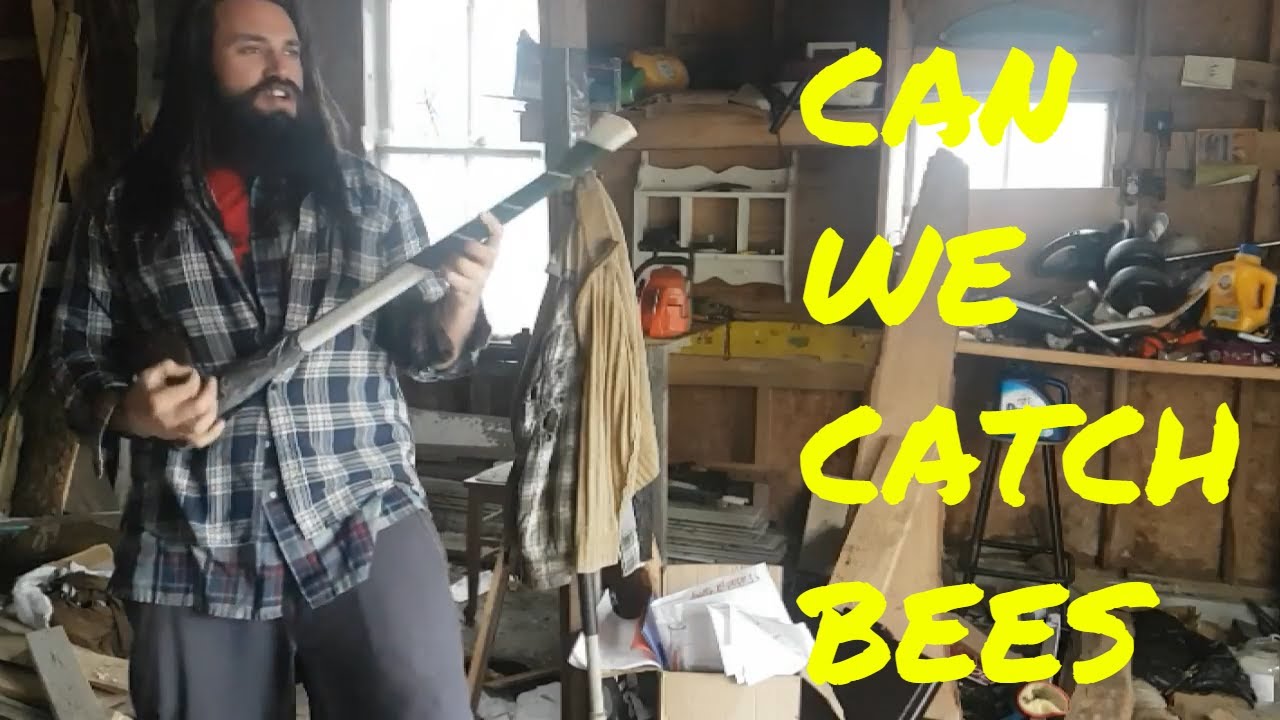 Making a bee box with no money / little skill. Homemade swarm box. DIY beehivevvswarm trap oceanhawk