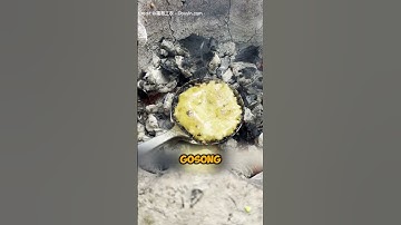 Thumbnail of Minyak kuning telur! obat regenerasi #shorts #facts