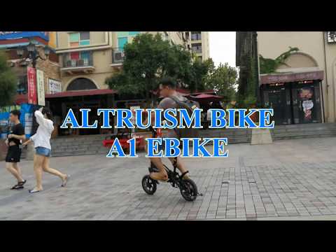 2018 TOP3 E-Bike ALTRUISM A1 Electric Bicycle