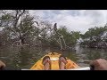 Флорида. Mangrove tunnels. Обломки кораблей после урагана. Ловлю местных монстров с кайака.