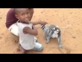حيوان الراكون يطلب منهم حك ظهره 