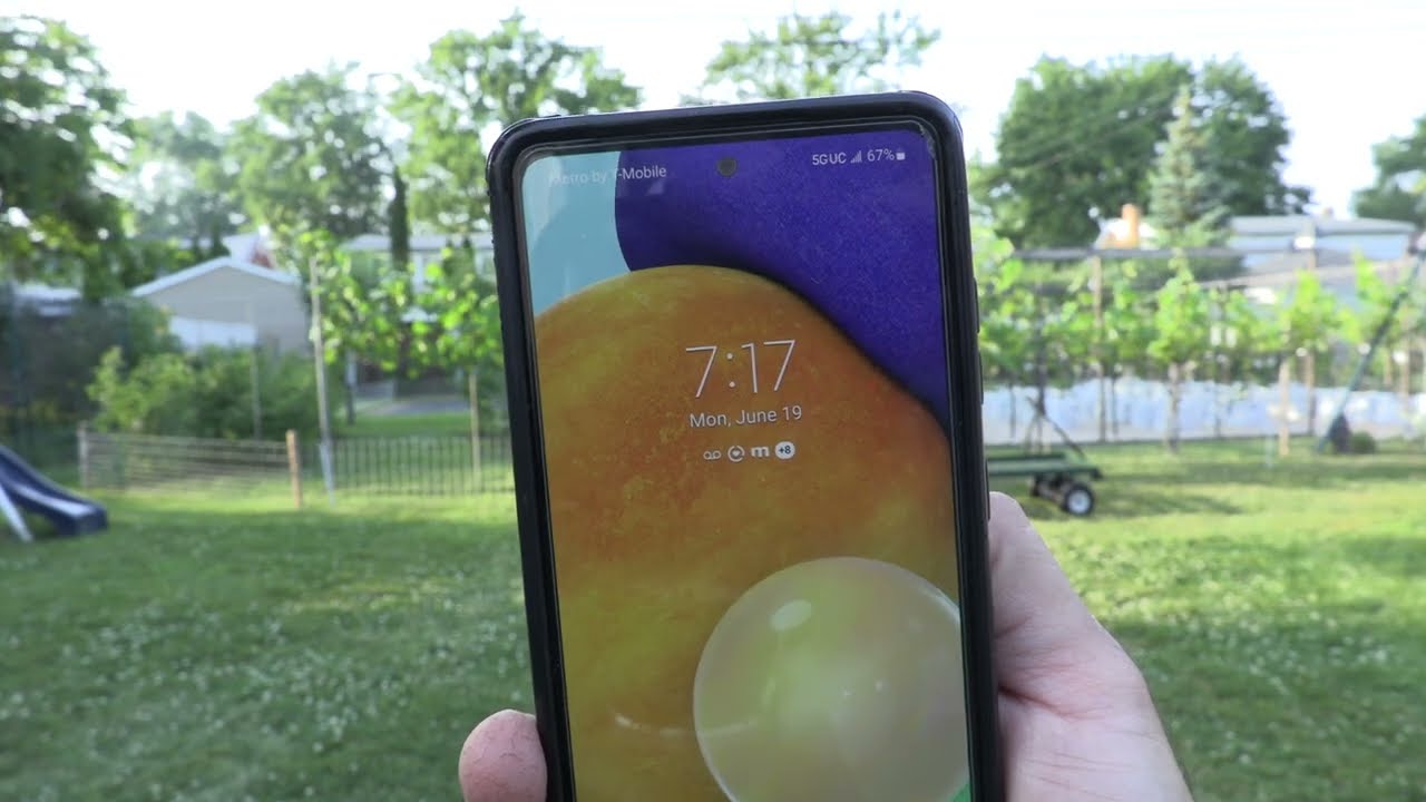 Ripe Figs In Michigan Zone 6a, June 19 2023, Part 1 @backyardfigs