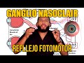 ANATOMÍA - Reflejo FOTOMOTOR, Ganglio NASOCILIAR: Eferencias y su RELACIÓN con el TRIGÉMINO