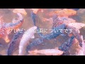 とび森プレゼント企画の結果