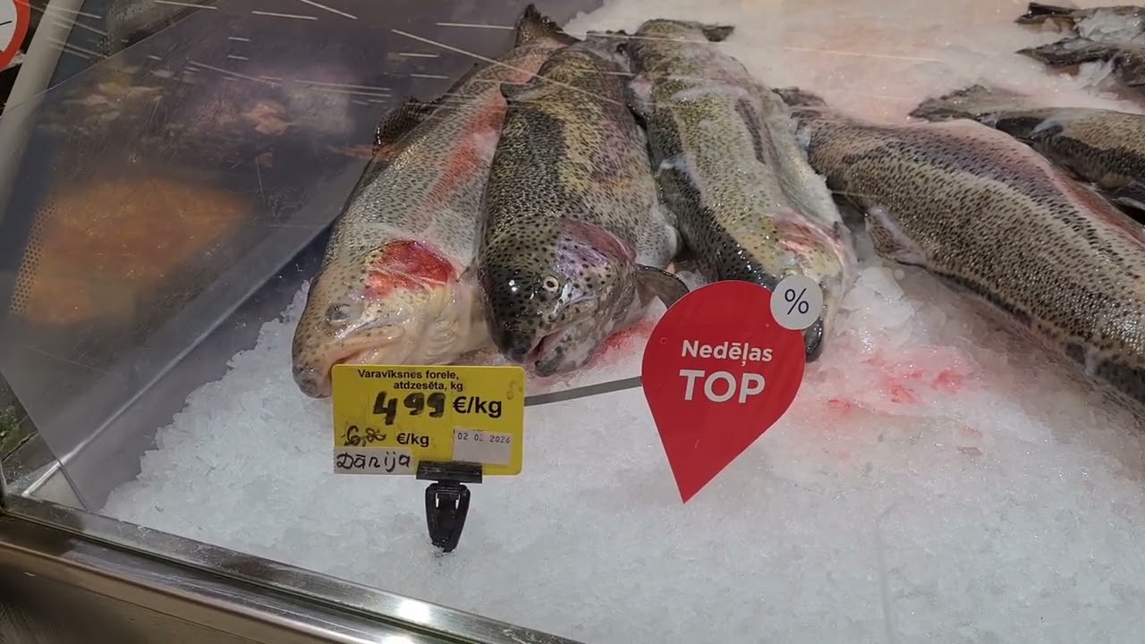 Магазин MAXIMA XX.🤩  Латвия.