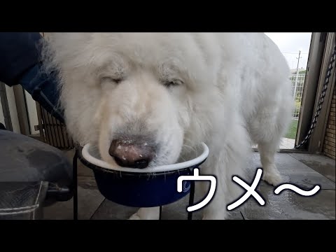 たくさんの贈り物に感謝 グッズTシャツについても少々お話を・・・