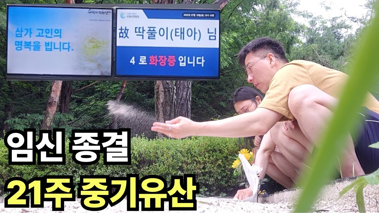 임신중기 유산ㅣ임신21주 임신종결ㅣ유도분만ㅣ아기 사산 장례식