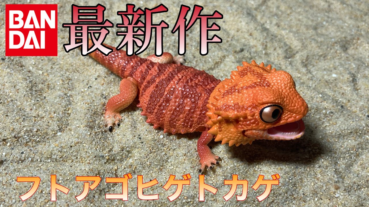 BANDAI】最新作500円ガチャのフトアゴヒゲトカゲがめちゃくちゃ可愛く