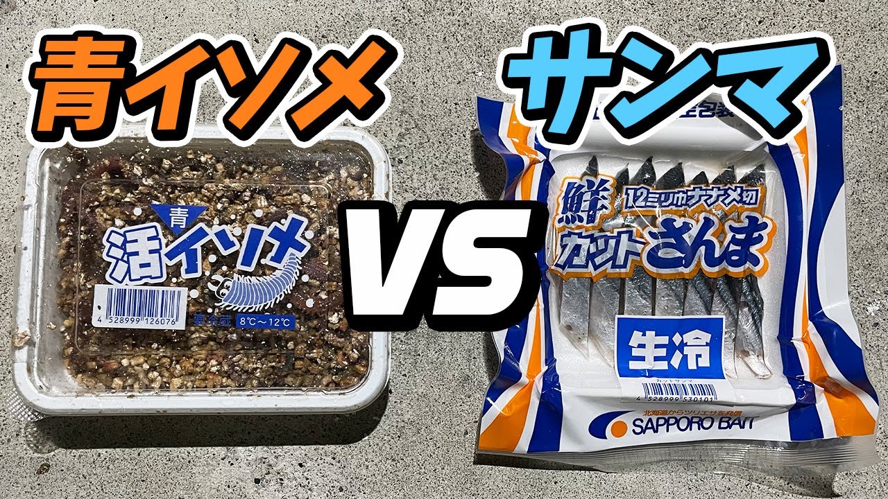 嘘だろ 夜釣り最強餌はどっち 青イソメ Vs サンマの切り身 が恐ろしい結果になった Youtube