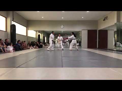 Kyokushin karate full contact