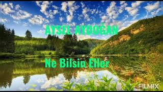 Aysel Aydoğan-Ne Bilsin Eller