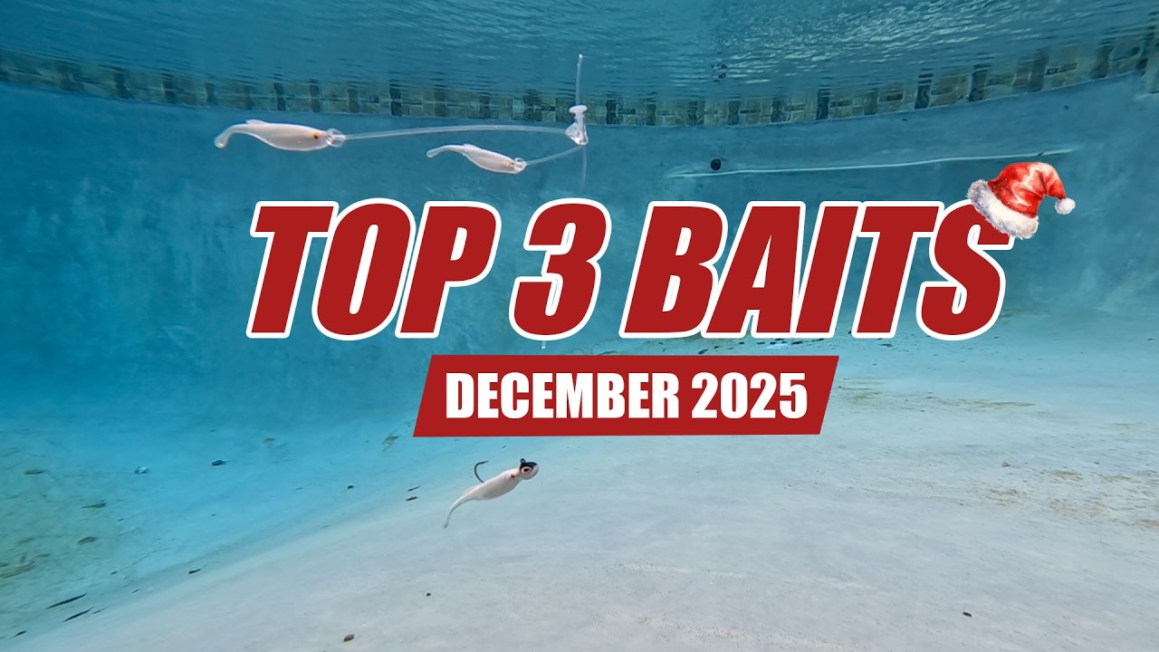December Top 3 Baits