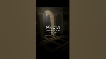 سورة مريم #ياسر_الدوسري #القرآن_الكريم #foryou #quran #اكسبلور #لايك #دويتو #ترند #fyp