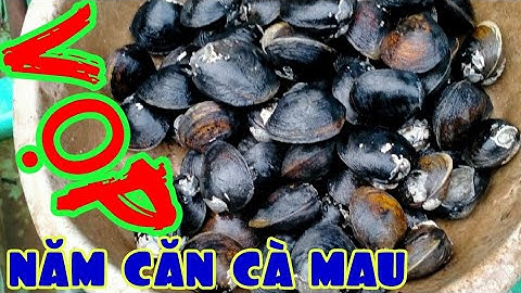 Vọp "rừng ngập mặn" Năm Căn Cà Mau