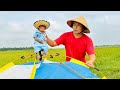 Bibi unexpectedly organized a camping in the rice fields