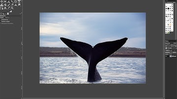 GIMP Scissor Selection tool