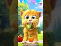My Talking Ginger 2 GameplayRexerGaming2 My Talking Ginger 2 GameplayRexerGaming2