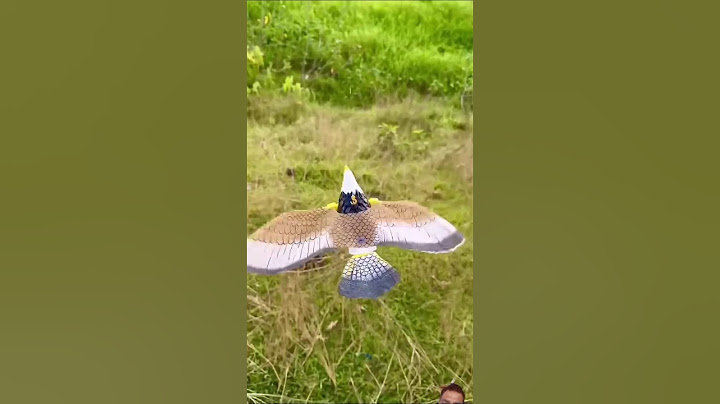 New model RC bird unboxing and testing ll #birds #toys #shorts