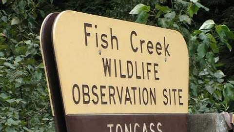 018 Pinnacle 15  How to Add Voice, Music & adj  Music vcoflw tutorials